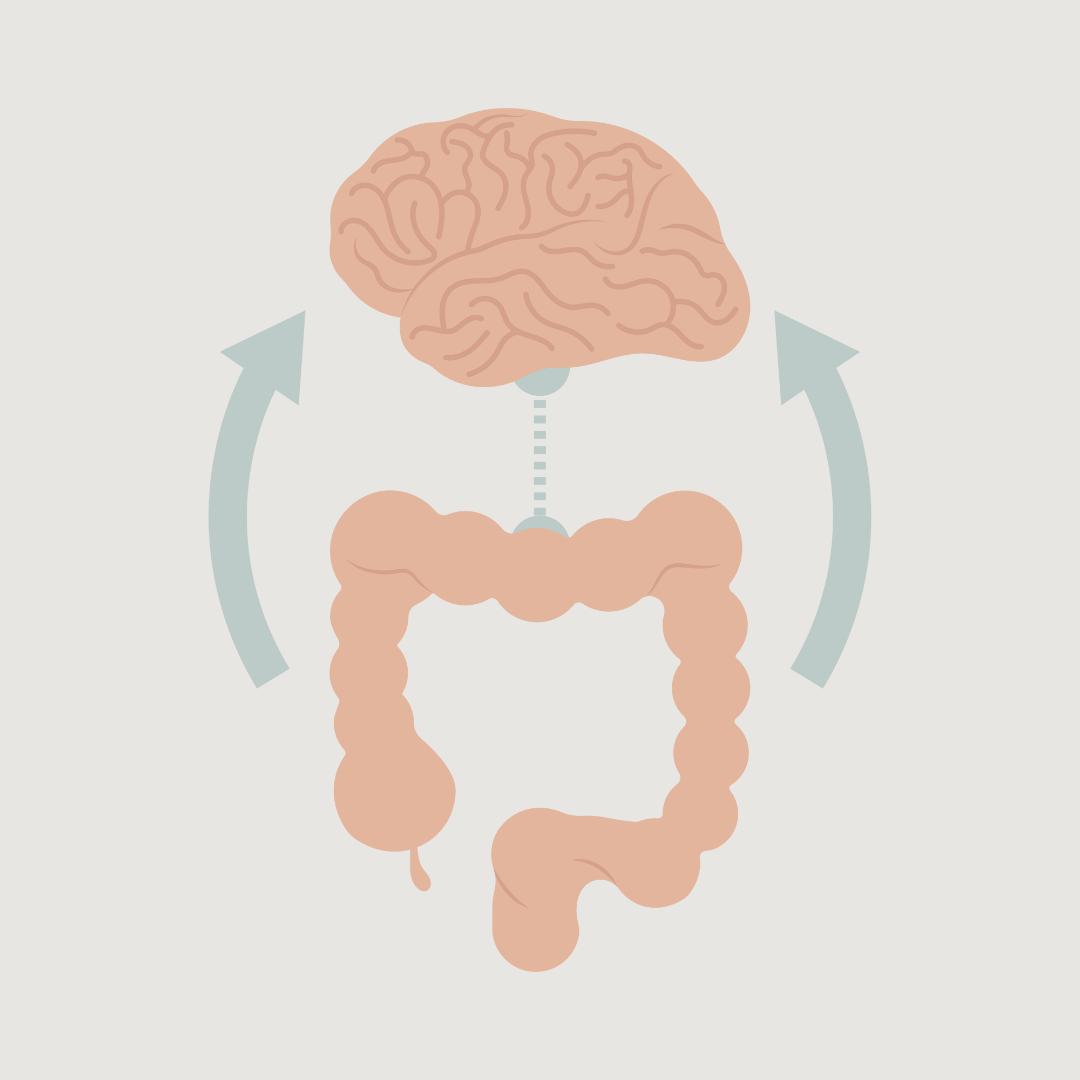 gut-brain connection; healthy gut, healthy brain